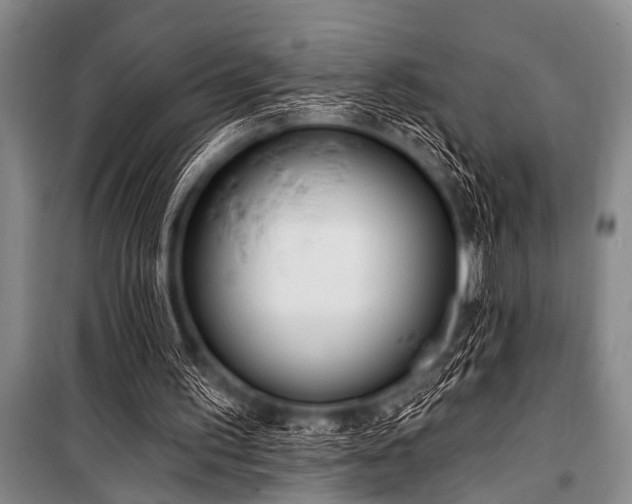 X0000101230195200806271519