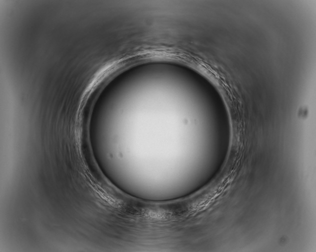 X0000101230199200806271519