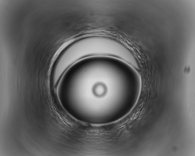 X0000101230200200806271519