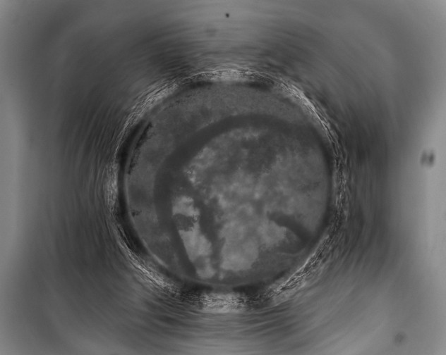 X0000101230202200806271519