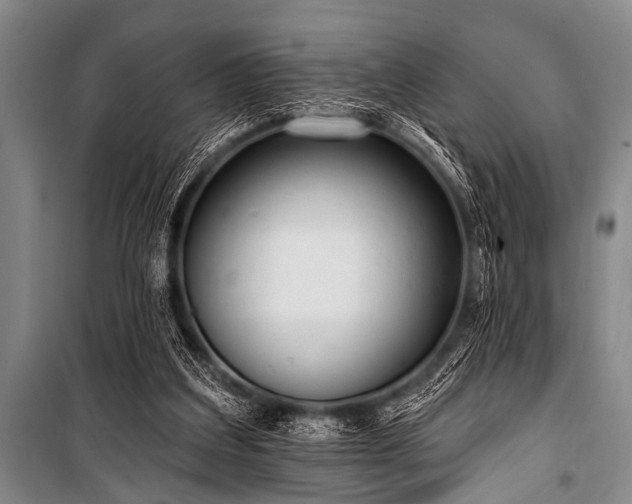X0000101230203200806271519
