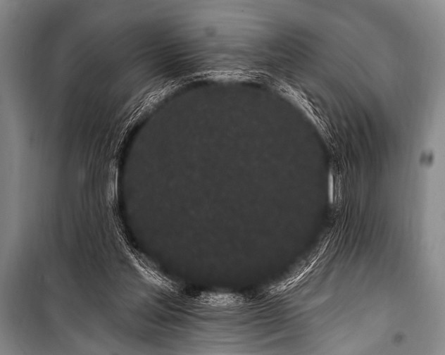 X0000101230205200806271519