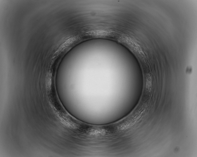 X0000101230206200806271519