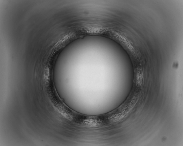 X0000101230211200806271519
