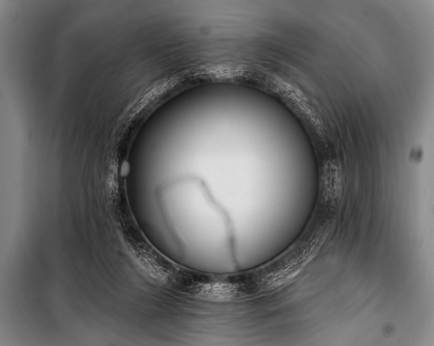 X0000101230212200806271519