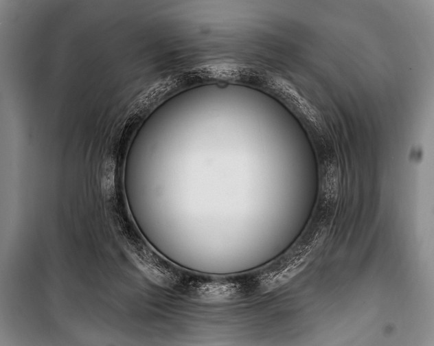 X0000101230213200806271519