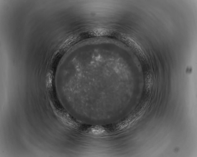 X0000101230214200806271519