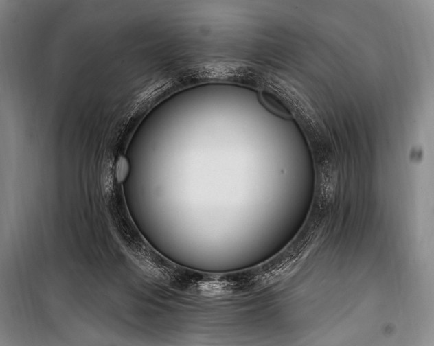 X0000101230216200806271519
