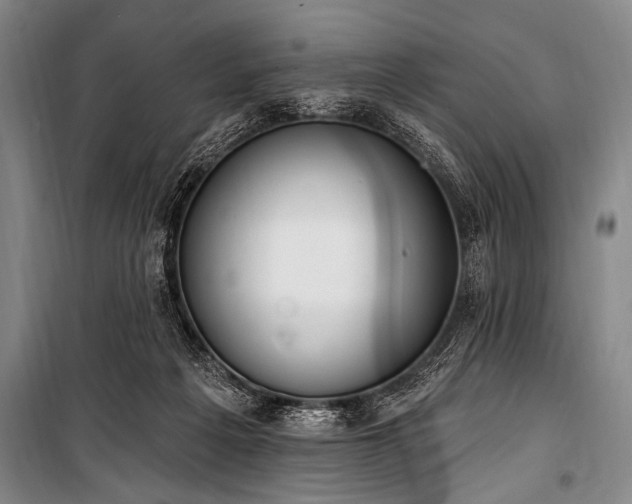 X0000101230217200806271519