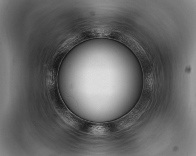 X0000101230218200806271519