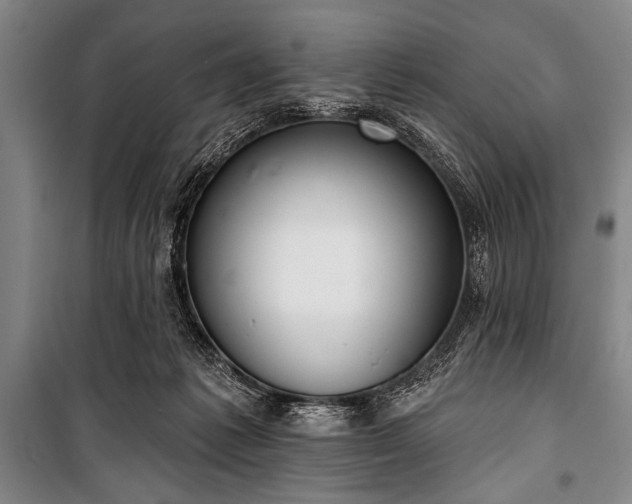 X0000101230221200806271519
