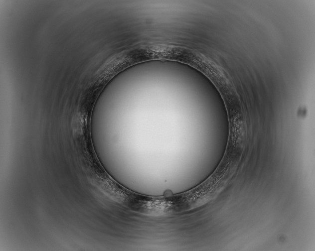 X0000101230225200806271519