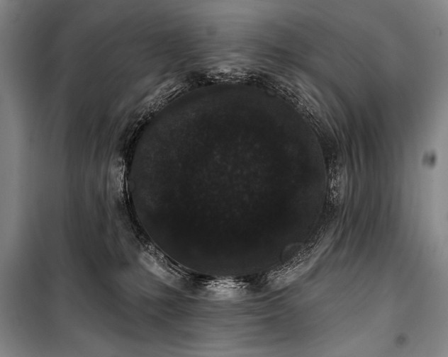 X0000101230231200806271519