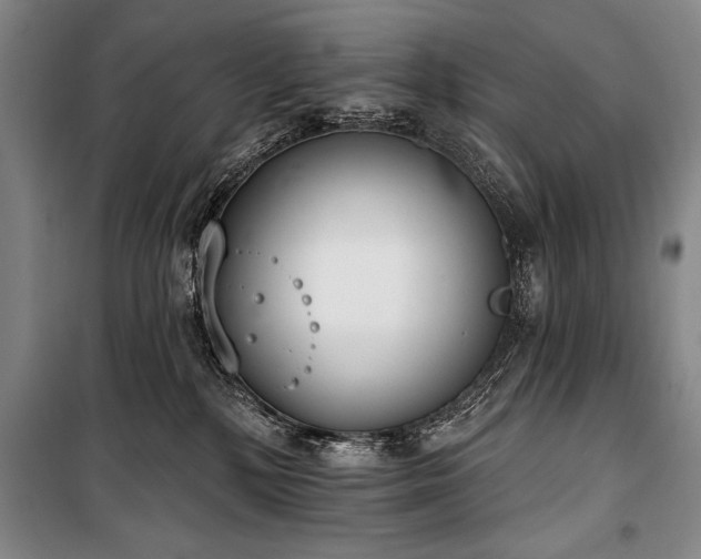 X0000101230232200806271519
