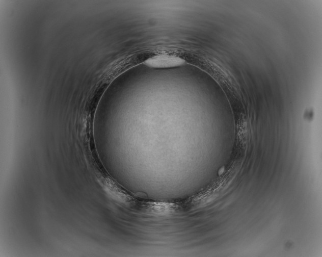 X0000101230233200806271519