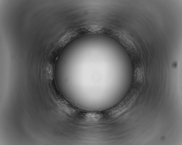 X0000101230234200806271519