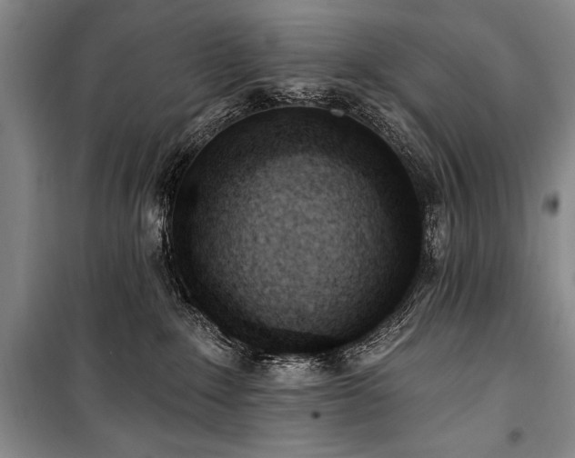 X0000101230235200806271519