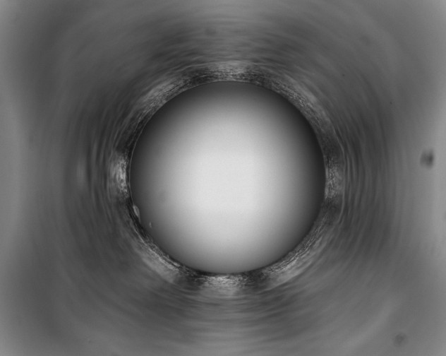 X0000101230238200806271519
