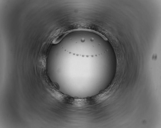X0000101230240200806271519