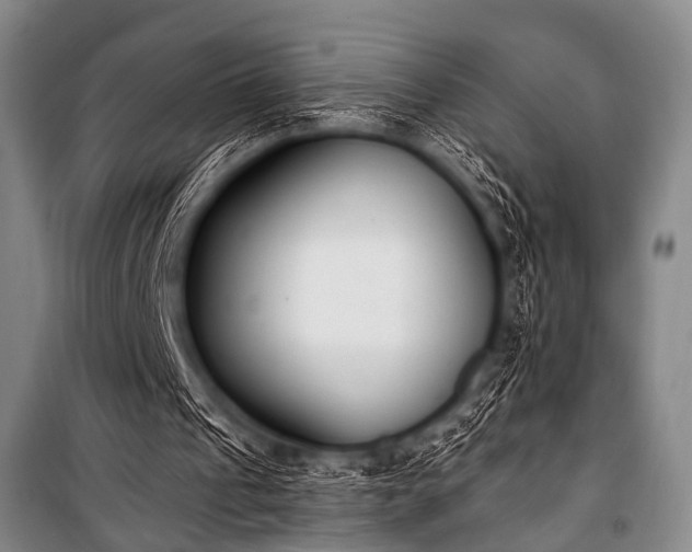 X0000101230241200806271518