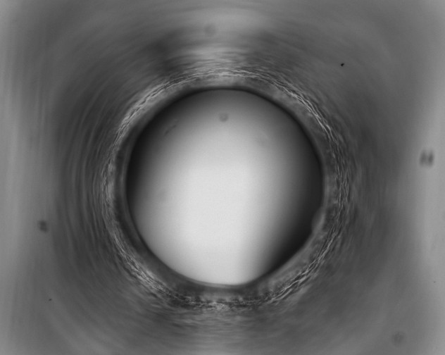 X0000101230242200806271518