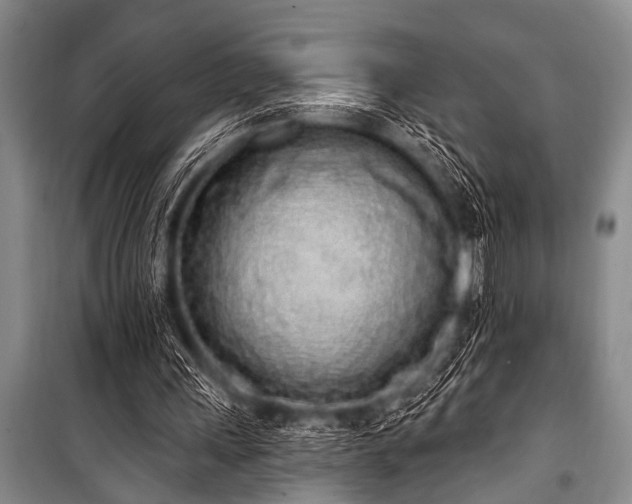 X0000101230243200806271518