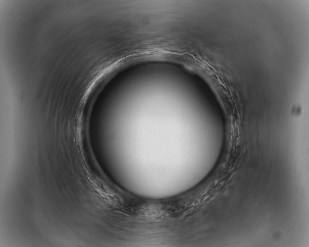 X0000101230244200806271518