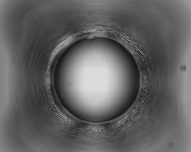 X0000101230245200806271518