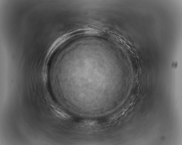 X0000101230247200806271518