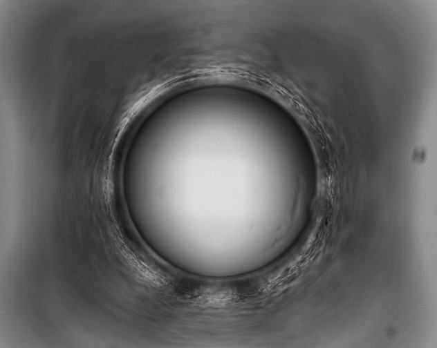 X0000101230248200806271518