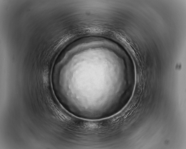 X0000101230249200806271518