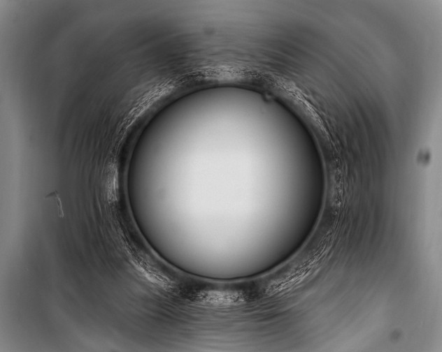 X0000101230251200806271518