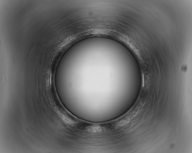 X0000101230253200806271518