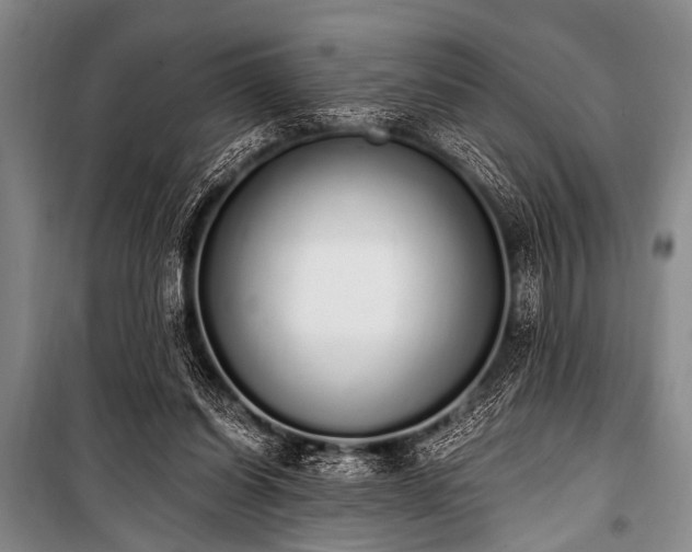 X0000101230254200806271518