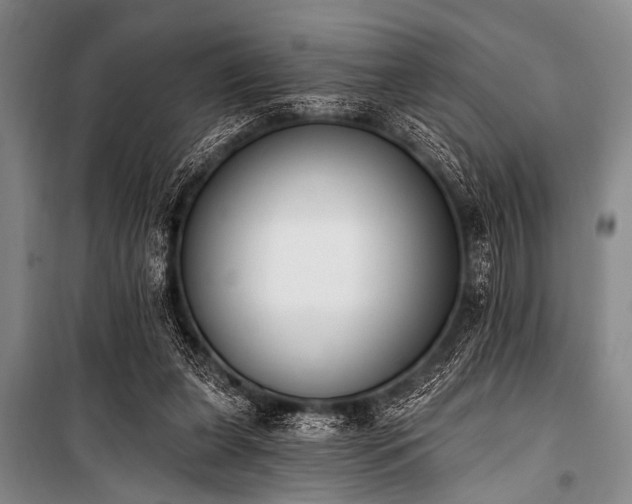 X0000101230255200806271518