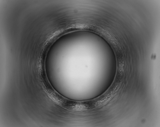 X0000101230256200806271518