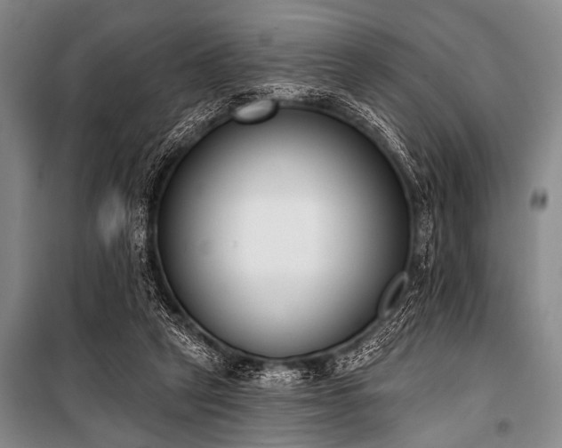 X0000101230257200806271518