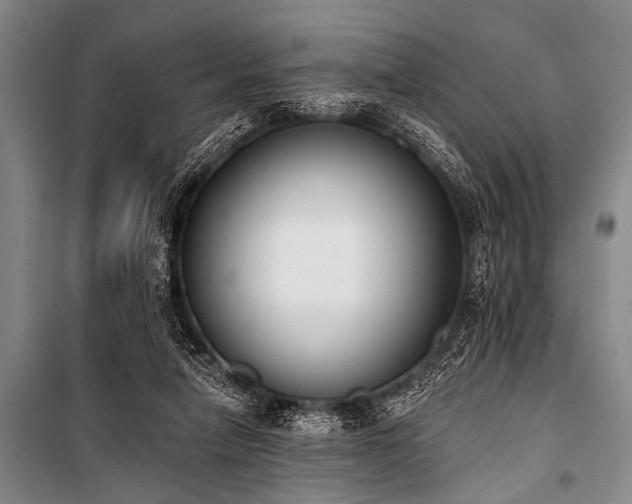 X0000101230258200806271518