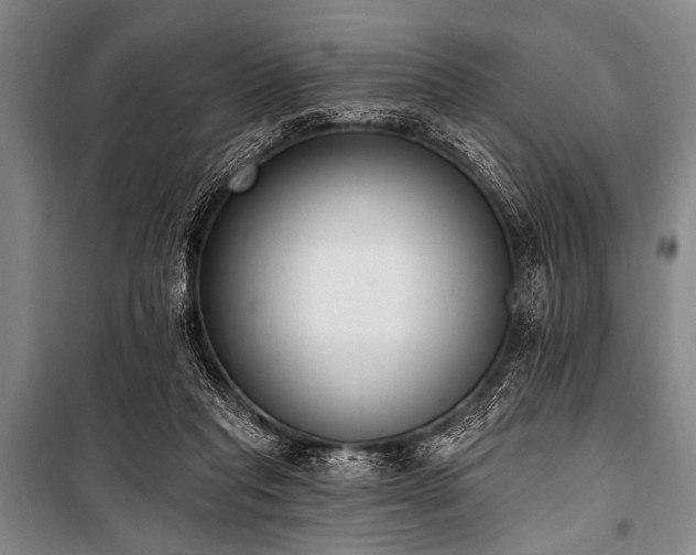 X0000101230261200806271518