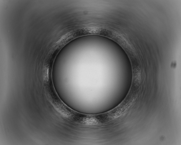 X0000101230262200806271518