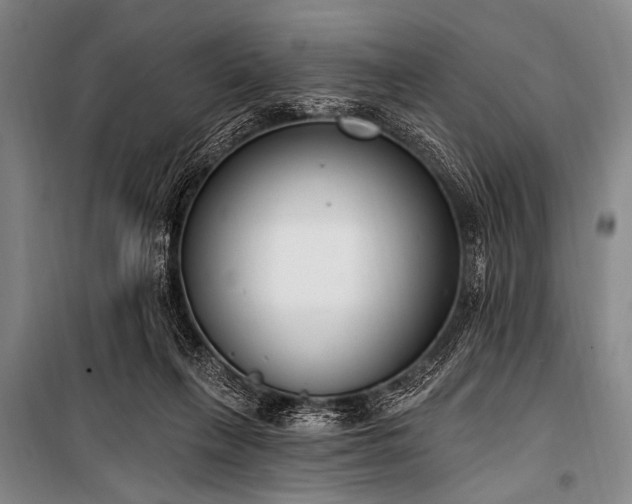 X0000101230263200806271518