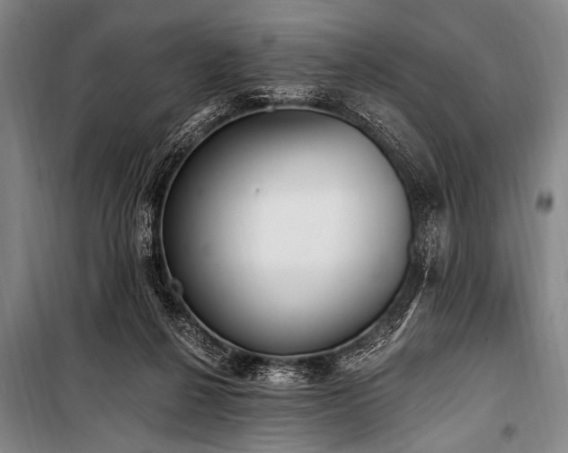 X0000101230264200806271518