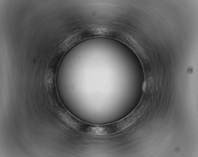 X0000101230265200806271518