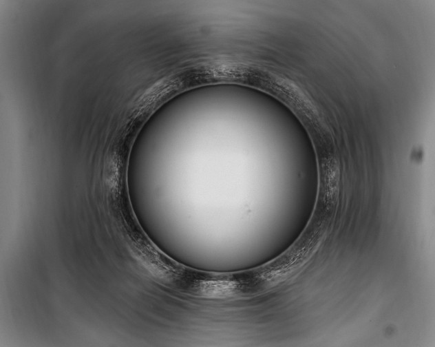 X0000101230266200806271518