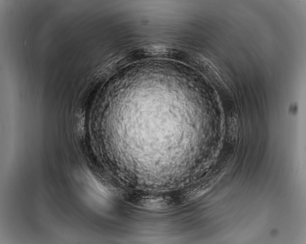 X0000101230267200806271518