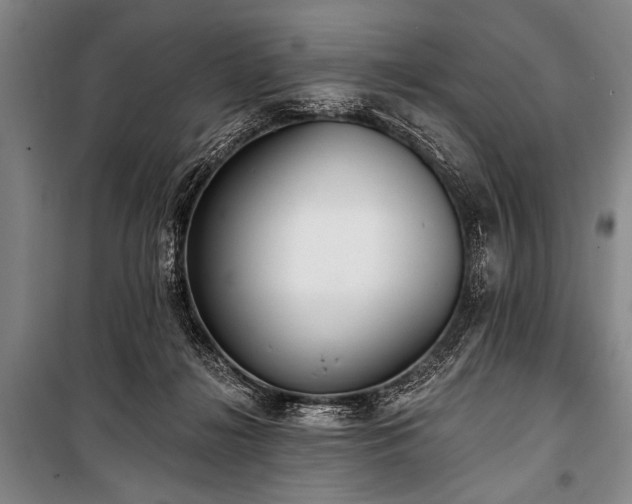 X0000101230268200806271518
