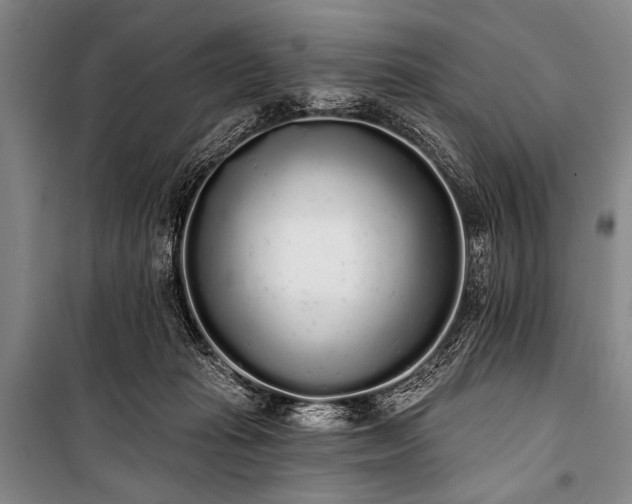 X0000101230269200806271518