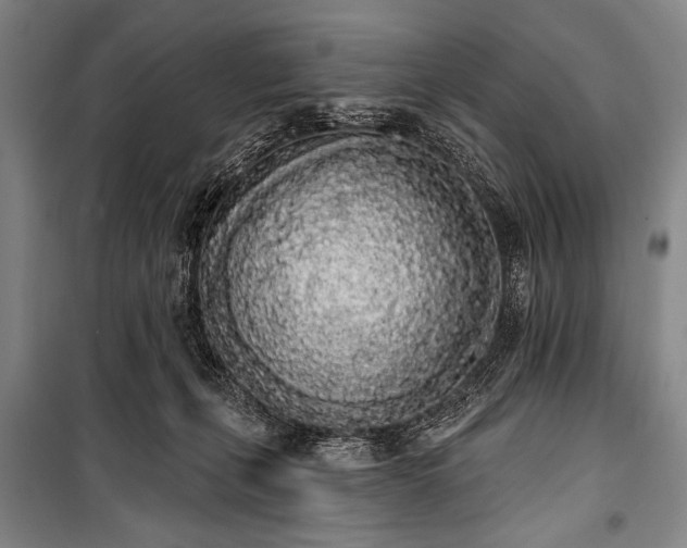 X0000101230271200806271518