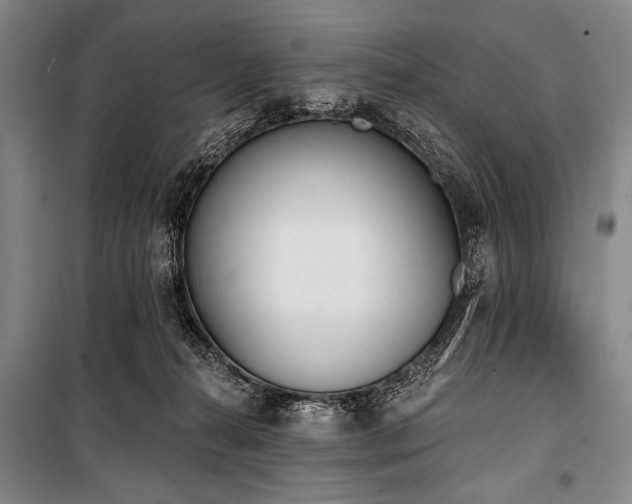 X0000101230272200806271518