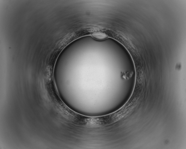 X0000101230273200806271518